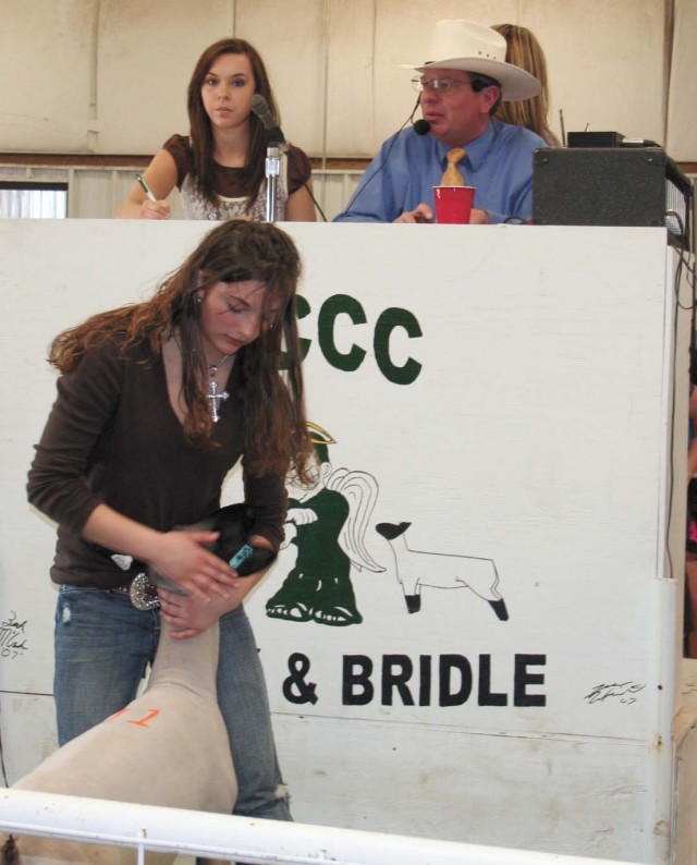 Ag sales see high numbers