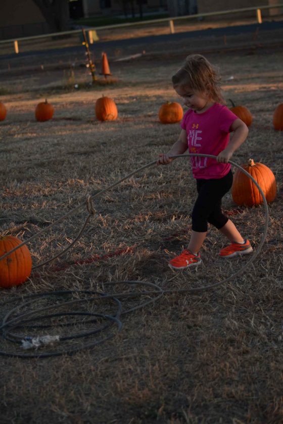 Emmaleigh Rotolo pulls in her winning pumpkin at the Pumpkin Olympics, held yesterday at the agriculture building.