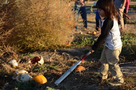 oshua Michael Raes smashes a pumpkin at the Pumpkin Olympics. This event was held October 18th. 