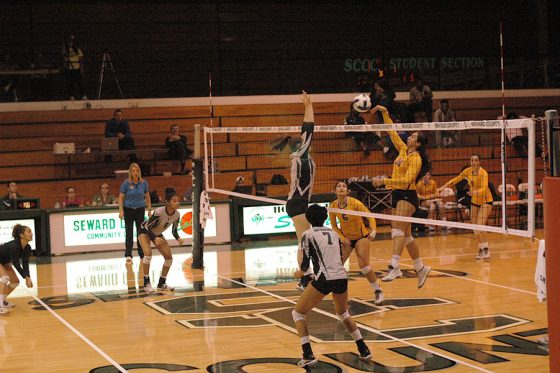 Belissa Guidotti (Sophomore) goes for a successful block against DCCC. 