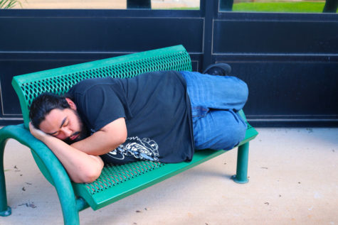 Naps are important part of life