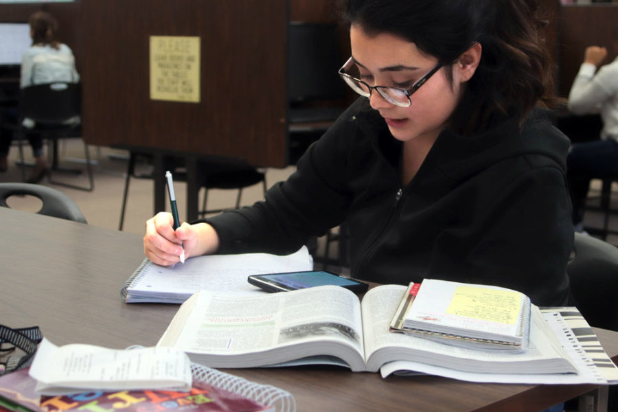 Freshman education major, Lucero Loredo, works on a history assignment.