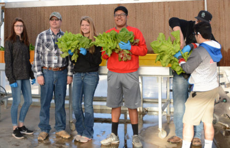 Ag partners with cafeteria for higher quality vegetables