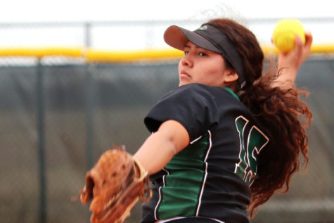 Softball loses first conference double header
