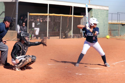 Lady Saints softball season ends in Region VI Championship