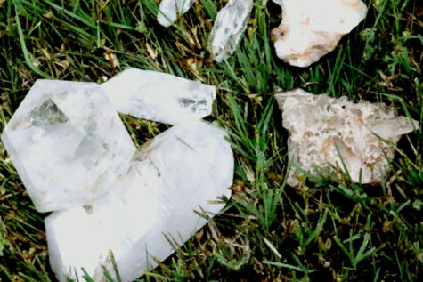 Field Biology learns through camping