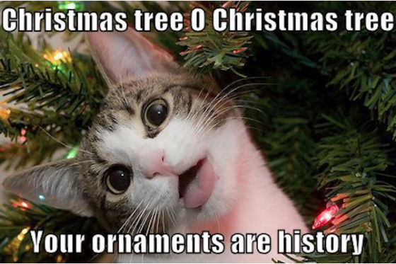 10 memes to get you through the holidays