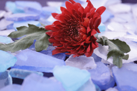 SCCC shows gems of creativity through Telolith