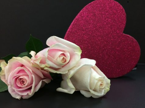Single students celebrate Valentine’s Day