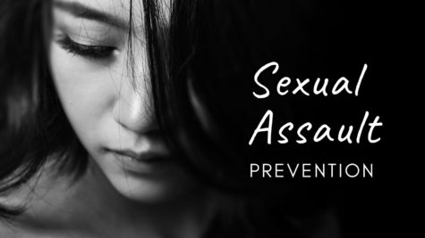 Students in the First Year Seminar classes took a computer course on preventing sexual assault. The module was to help students know how to stay safe.