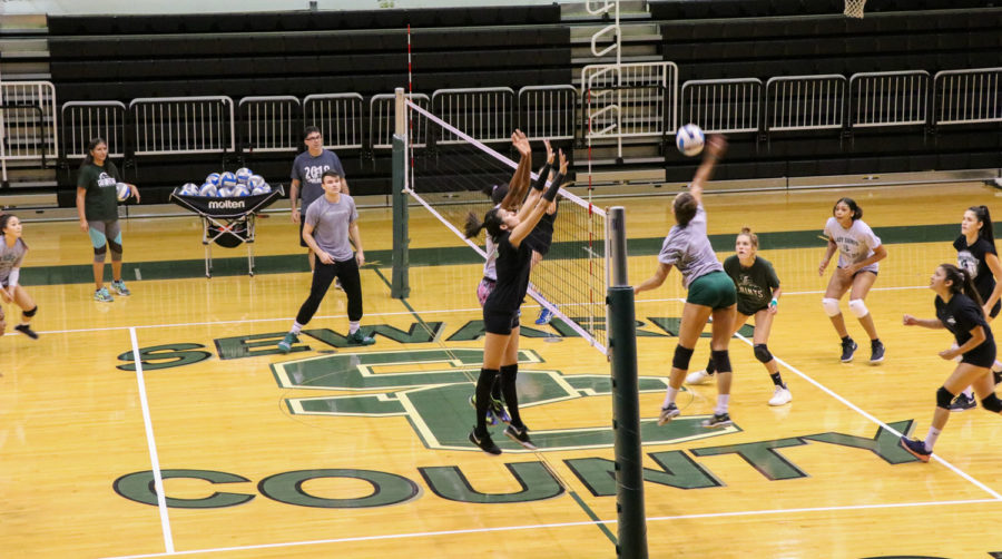 The Saints volleyball team scrimmage against each other in the greenhouse on Sept. 6. The Saints volleyball team is ranked No. 1 in the nation, and hasnt dropped a set in any of their games.
