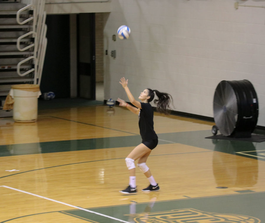 Livia De Pra gets ready to serve during a scrimmage in the greenhouse on Friday, Sept. 6. She is a freshman outside hitter for the Saints volleyball team from Sao Paulo, Brazil. 