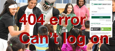 When the server goes out, most students receive a 404 error. This tells you that the page you are looking for is not available.