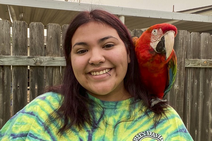 Breighanna Medina poses with her flame macaw. She considers this bird her therapy pet. It helps to soothe and calm her down. Medina has many pet birds that she cares for with her family.