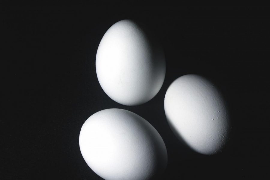 Photography students took their cameras off auto this semester and learned to shoot manual. This picture of eggs was all about white balance. See more student photography in the Fall 2020 exhibit.