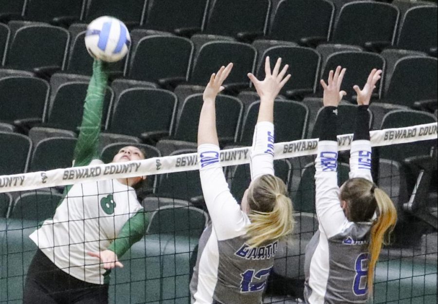 Gabriela Badilla goes up against Barton blockers, Jo La’Force and Mylena Testoni. Badilla is a leader for Seward with the top kill percentage. She has a total of 178 kills for the season. Her stats for the game were one service ace, seven kills, and one block.