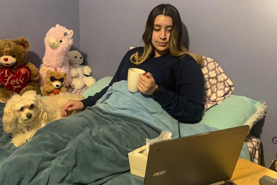 Freshman Maria Coronado finally has a chance to enjoy aspects of a traditional snow day on Monday  — mocha coffee and watching Netflix under covers. She spent most of the day in remote learning and doing homework. Her dog, Tomasa, and stuffed animal friends offer some warm comfort on the -17 temperature day.