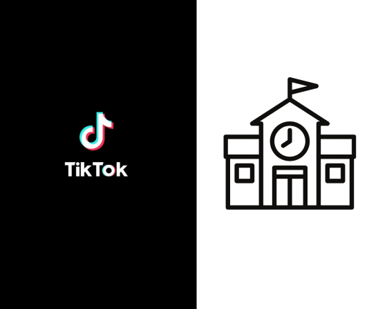 Could TikTok be teaching us more than school?