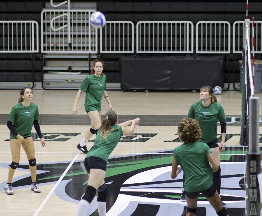 As the team scrimmages against each other, the Lady Saints look up to the air to find the ball. Malena Catala, a freshman from Argentina, gets prepared to hit the ball. The volleyball has their first home match and conference game Wednesday at 6:30 p.m. in the Greenhouse.
