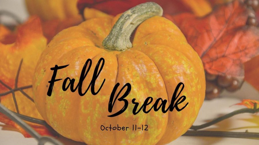 Students make plans for fall break