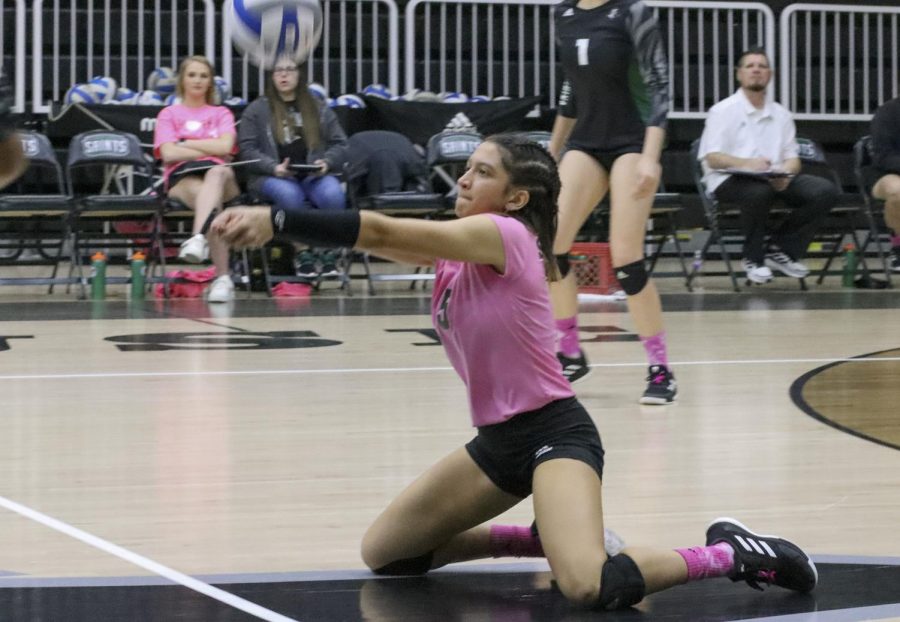 Michel Jerez saves the ball with a dig near the out-of-bounds line. Jerez is a libero for the Lady Saints from the Dominican Republic. The Lady Saint has an overall of 76 assists.