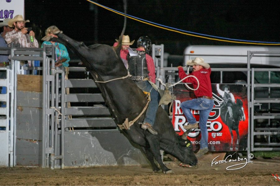 A cowboy rides a bull out of the gate during the 2021 Seward County PRCA rodeo at the fairgrounds. The annual event did not happen in 2020 due to COVID. Haralson said it was great to have the rodeo back, bringing entertainment and money back into the Liberal community.
