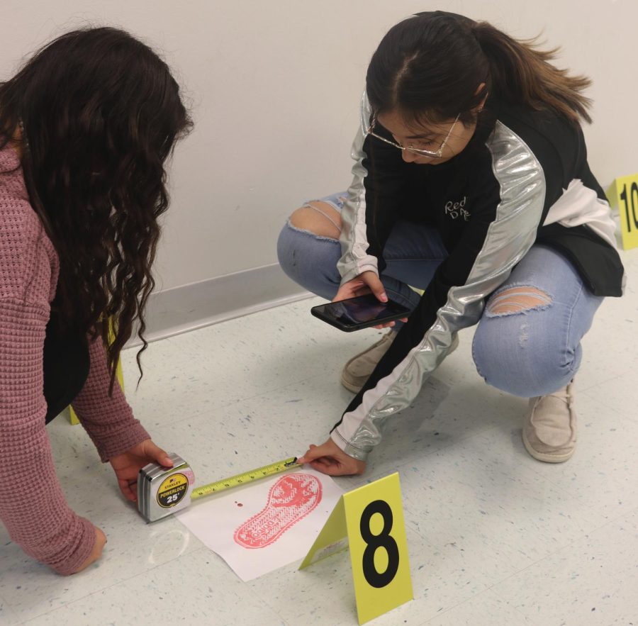 With the previous pieces of information Officer Smiddy had given about taking exact notes of measurement, students Maricruz Aguirre and Shania Castro took precise measurements of the footprints, gunshots, blood smears. Etc. In addition, the students had also learned that taking photos was a crucial part of also getting great evidence. 