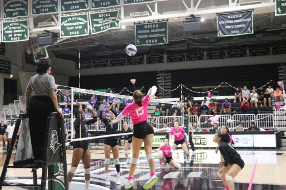 Lady Saints Volleyball loses 0-3 in Pink Out game against Barton Cougars