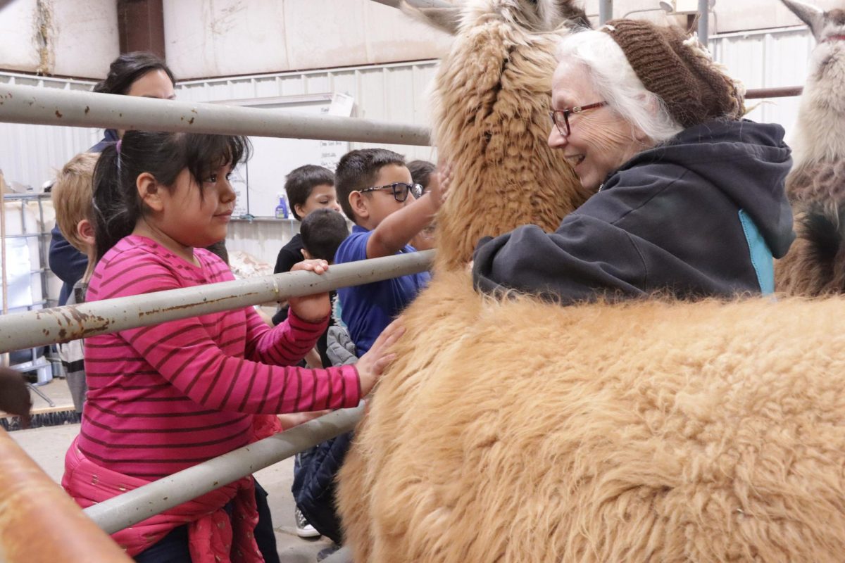 Betty Hallman, an owner of the llamas, helps a first-grade girl pet a llama. Hallman explains to the girl why they have llamas and the importance of their fur. 

