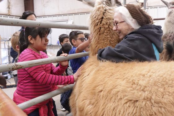 First graders learn about agriculture on Farm Education Day