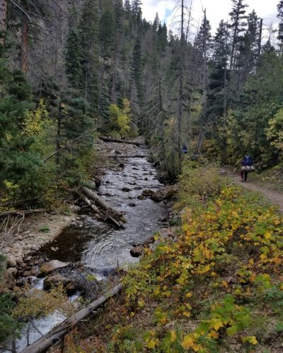 Wild and Scenic River located in Pecos Wilderness near, New Mexico.